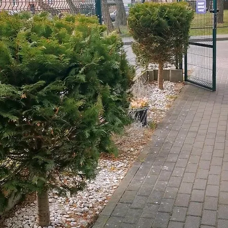 Seaside With Free Parking Appartamento Hel